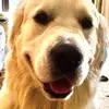 Nancy Rothenberg929 - @nancyrothenberg92 - TikTok