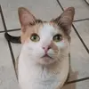 nancy.os - @nancyosorio0 - TikTok