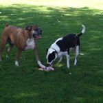 Nancy Oster-Bubel - @osterbubel - Instagram