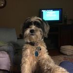 Nancy Osterberg - @osterberg8864 - Instagram