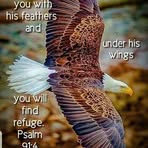 Nancy Osterberg - Facebook