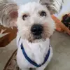 Nancy Cotten - @nancycotten6268 - TikTok