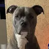 Nancy Overby - @nancy.overby - TikTok