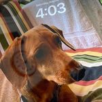 Nancy Overman Moore - @nom829 - Instagram