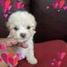 Nancy Ozuna - Facebook