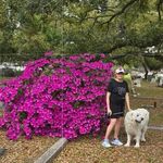 Nancy Holland Pace - @nancycarolinepace - Instagram