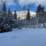 Nancy Packer - @npacker - Instagram