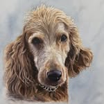 Nancy M. Paden - @tortoisefeathersstudio - Instagram
