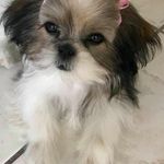 Nancy Padron - @nancy.padron - Instagram