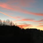 Nancy Palardy - @palardy.nancy - Instagram