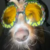 Nancy pallard - @nancy.pallard - TikTok