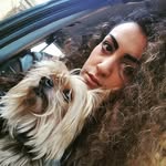 Nancy Palmeri - @nancypalmeri - Instagram