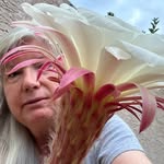 Nancy Palmisano - @nancypalmisanoart - Instagram