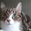 nancypalmbass - @nancypalmbass - TikTok