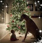 Nancy Palmieri - Facebook