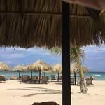 Nancy Panet - @nancypanet - Instagram