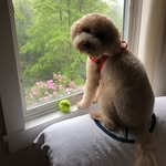 Nancy Pankey - @bignanceupontop - Instagram
