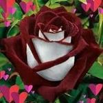 Nancy Paramo - @nancymarisol.paramoaldaco - Instagram