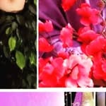 @_nancy_patch - Instagram