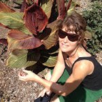 nancy carolyn patzer - @ncpcbus - Instagram