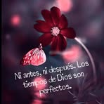 Nancy Paz - Facebook