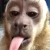 Nancy Paz - @naaa.nnncyy - TikTok