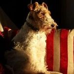 Nancy Peabody - @walkersmaw - Instagram