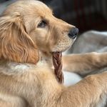 Nancy Pearce - @nancepearce - Instagram