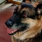 Nancy Peavy Kephart - @kephart5256 - Instagram