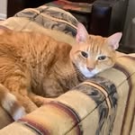 Nancy Barrick Peeples - @nancybarrickpeeples - Instagram