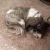 Nancy Pegg - Facebook