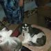 Nancy Pegg - Facebook