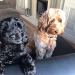 🌸NancyandPeggy🌸 - @nancy_and_peggy - Instagram