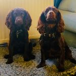 Peggy and Nancy - @peggy_and_nancy - Instagram