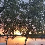 Nancy Pence - @nancy.pence.5 - Instagram