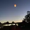 Nancy Pence - @nancy.pence2 - TikTok