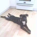 Nancy Pence McCauley - @nancy.p.mccauley - Instagram