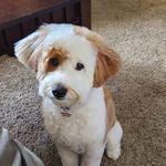 Nancy Currins Pennell - @nancyp618 - Instagram