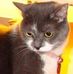 Nancy Pennell - Facebook