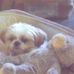 Nancy Pennell - Facebook