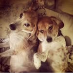 Nancy Perillo - @norbigs - Instagram