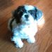 Nancy Perna - Facebook