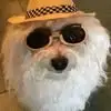 Nancy Perna - @nancy.perna63 - TikTok