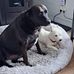 Nancy Perreault - Facebook