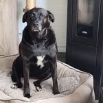 Nancy Perreault - @nancy.perreault.9421 - Instagram
