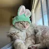 Nancy Perrigo - @nancyperrigo889 - TikTok