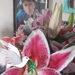 Nancy Perugachi - @perugachinancy500 - Instagram