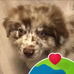 Nancy Petit - @petitnancy - Instagram