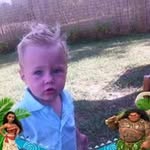 Nancy Petit - @npetit - Instagram