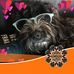 Nancy Petrick - Facebook